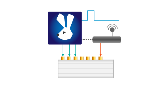 Seven Solutions White Rabbit.png