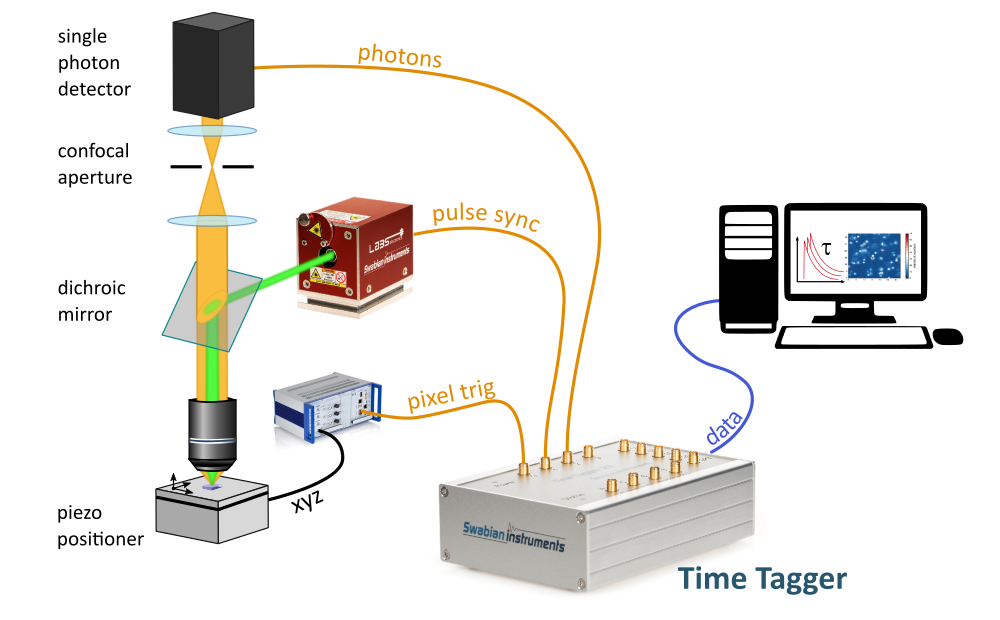 ../_images/confocal-microscope-setup.png